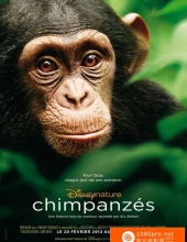 [2012][美国][纪录片][黑猩猩的世界/黑猩猩][蓝光原盘DIY简繁中字][1080P-36.99G][M2TS]DTS