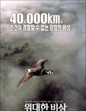 [2001][法国][纪录片]天地人三部曲之迁徙的鸟/鹏程千万里[鸟类的史诗][1080P-12.17G][MKV]DTS