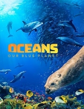 海洋：我们的蓝色星球 2018.DOCU.1080p高清.BluRay蓝光高清网.x264.DTS-HD.MA.5.1-SWTYBLZ 5.47GB
