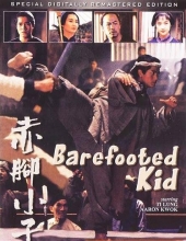 赤脚小子 The.Bare-Footed.Kid.1993.CHINESE.1080p.WEBRip.x264-VXT 1.59GB