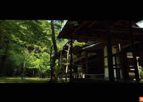 高桐院 大徳寺 京都の庭園 Koto-in Temple Daitoku-ji The Gardens of Kyoto Japan
