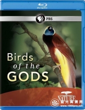 天堂鸟 Nature.Birds.of.the.Gods.2011.1080p.BluRay.x264-SADPANDA 3.28GB