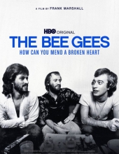 比吉斯:如何修复受伤心灵 The.Bee.Gees.How.Can.You.Mend.a.Broken.Heart.2020.720p.BluRay.x264.