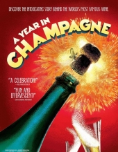 香槟的一年 A.Year.in.Champagne.2014.1080p.AMZN.WEBRip.DDP5.1.x264-LPAIN 6.55GB