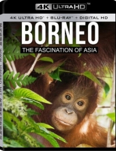 【4K REMUX】魅力亚洲：婆罗洲 Borneo.The.Fascination.of.Asia.2017.DOCU.2160p.BluRay.REMUX.H