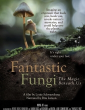 神奇的真菌 Fantastic.Fungi.2019.1080p.BluRay.x264.DD5.1-HANDJOB 4.96GB