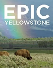 Epic.Yellowstone.S01.2160p.PMTP.WEBRip.AAC2.0.x265-纪录片下载—13.81 GB