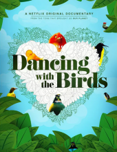 与鸟共舞4k Dancing.with.the.Birds.2019.2160p.NF.WEBRip.DDP5.1.Atmos.x265电视纪录片下载—11.1