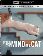 喵星人的奇思妙想4K Inside.the.Mind.of.a.Cat.2022.2160p.NF.WEB-DL.x265.10bit.HDR.DDP5.1-4K电影下载