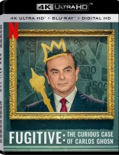天大逃犯：汽车大亨戈恩奇案4k.Fugitive.The.Curious.Case.of.Carlos.Ghosn.2022.2160p.NF.WEB-DL.x265.10bit.HDR.DDP5.1-电影下载