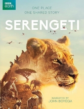 塞伦盖蒂（第3季）（中字）（46G）Serengeti.S03.2160p.iP.WEB-DL.x265.10bit.HDR.HLG.AAC2.0-PlayWEB 4k纪录片