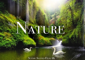 4K中的自然-世界各地令人惊叹的场景 Nature In 4K - Breathtaking Scenes Around The World _ Nature Sounds _ Scenic Relaxation Film