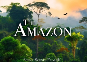 亚马逊 4K-亚马逊丛林及其野生动物 The Amazon 4K - Amazon Jungle and its Wild Animals _ Rainforest Sounds _ Scenic Relaxation Film