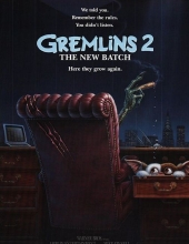 小精灵续集.Gremlins2.The.New.Batch.1990.1080.BluRay.DTS-MA5.1.x264-PANAM 11.91GB