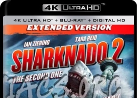 你是风儿我是鲨·纽约篇(豆友译名)/鲨卷风2 4k.Sharknado.2.The.Second.One.2014.2160p.HQ.WEB-DL.H265.AAC-4k电影下载