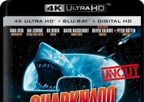 鲨卷风3：雅蠛蝶(豆友译名)/鲨卷风3 4k.Sharknado.3.Oh.Hell.No.2015.2160p.HQ.WEB-DL.H265.AAC-4k电影下载